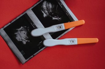 Ultravzuk a těhotenské testy [Olia Danilevich]