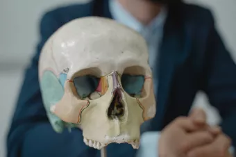 Lebka bez spodní čelisti