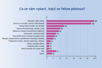 Myšlenkové asociace se slovem pěstoun Myšlenkové asociace se slovem pěstoun