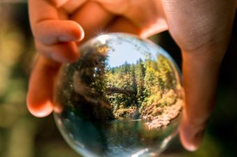 skleněnka a příroda