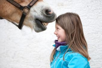 Dívka a kůň Dívka a kůň