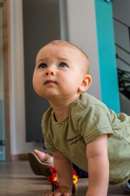 Kojenec pase koníčky