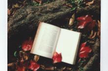Kniha v podzimním listí