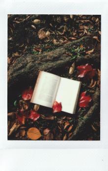 otevřená kniha v podzimním listoví
