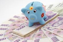 prasátko a bankovky