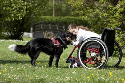 handicap